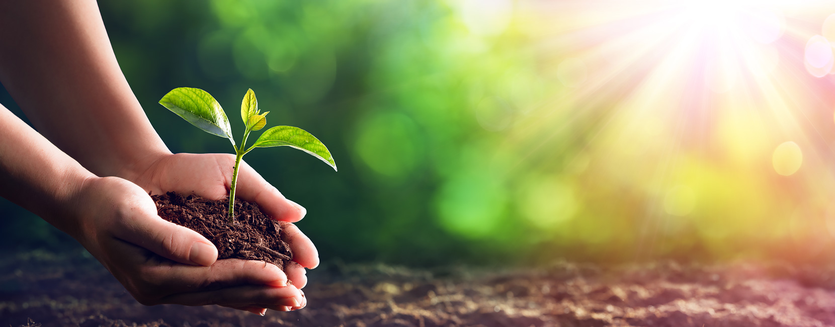 AG8����_AG8���޼��š�(�й���)�ٷ���վ